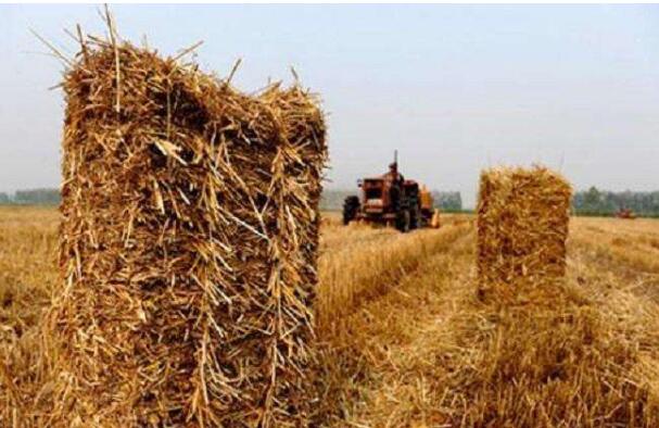 黑龍江齊齊哈爾構(gòu)建全方位、多層次秸稈綜合利用體系