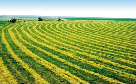 多地陸續(xù)出臺全面推進(jìn)鄉(xiāng)村振興實(shí)施方案 數(shù)字農(nóng)業(yè)等成發(fā)展重點(diǎn)