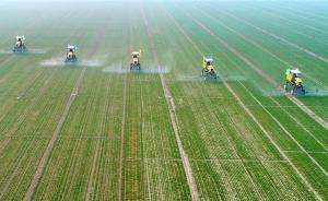 農(nóng)業(yè)農(nóng)村發(fā)展穩(wěn)中向好、穩(wěn)中提質(zhì) 糧食產(chǎn)量有望邁上新臺階