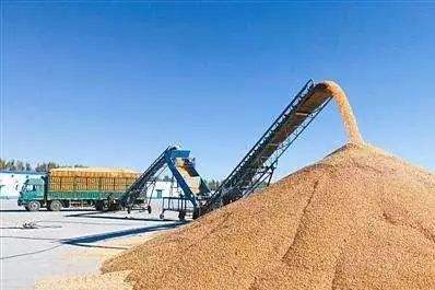 840.7億斤！內(nèi)蒙古糧食總產(chǎn)躍居全國(guó)第五實(shí)現(xiàn)“二十二連豐”