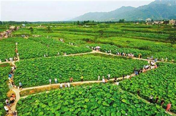 技術(shù)創(chuàng)新助降耗 綠色產(chǎn)業(yè)增動(dòng)能