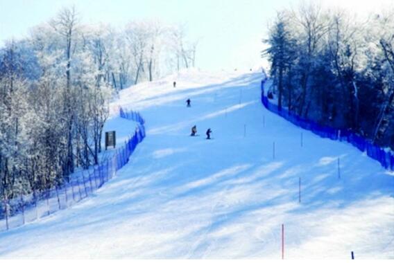 入境冰雪游預(yù)訂大幅增長(zhǎng)