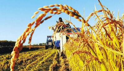 回眸2025丨縱覽大國(guó)“三農(nóng)”的萬千氣象