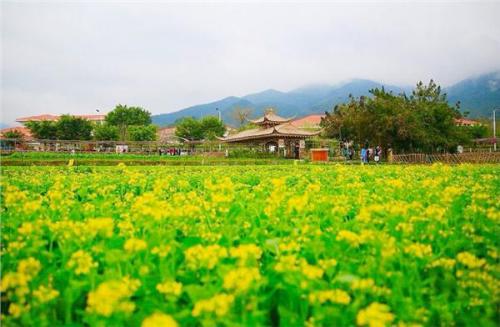 美麗中國建設(shè)框架基本形成 生態(tài)環(huán)境部部署七大任務(wù)