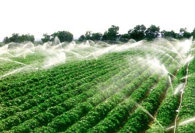 農(nóng)業(yè)農(nóng)村部推介第三批31個農(nóng)業(yè)綠色發(fā)展典型案例