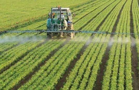 今年強(qiáng)農(nóng)惠農(nóng)政策定了！哪些補(bǔ)貼或獎(jiǎng)勵(lì)與你有關(guān)？