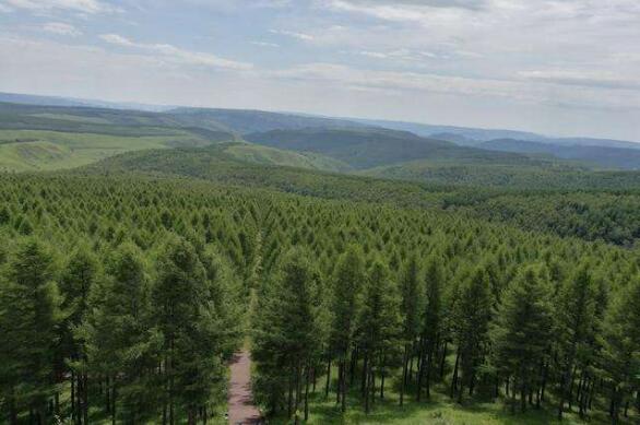 國(guó)家林草局部署全國(guó)林草行業(yè)安全生產(chǎn)工作