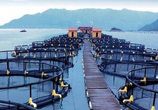 前三季度持續(xù)恢復向好 海洋經濟如何成為經濟發(fā)展新動能？