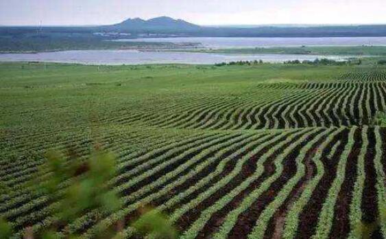 加強耕地保護，筑牢國家糧食安全基石