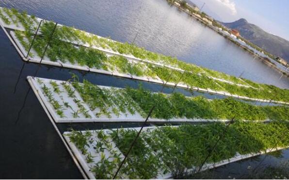 四部門聯(lián)合部署數(shù)字鄉(xiāng)村專項(xiàng)行動 加快5G與智能農(nóng)機(jī)深度融合等內(nèi)容