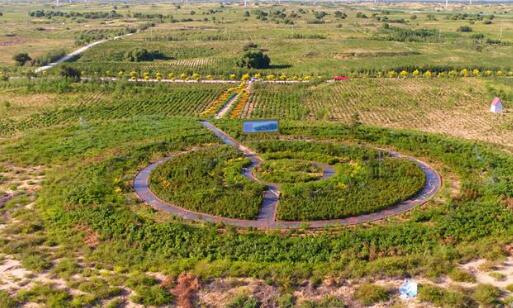 我國(guó)沙地沙漠生態(tài)修復(fù)治理取得顯著成效 從“沙進(jìn)人退”到“綠進(jìn)沙退”