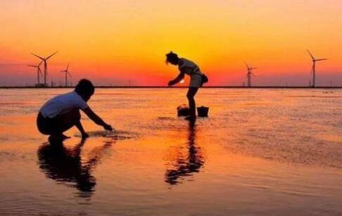 山東東營：打響“黃河入?！蔽幕糜纹放?></a></div><!-- img end -->	<div   id=