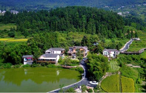 “民宿+”活動豐富多彩