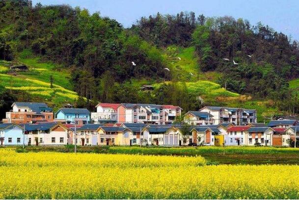 下大氣力全面推進(jìn)鄉(xiāng)村振興