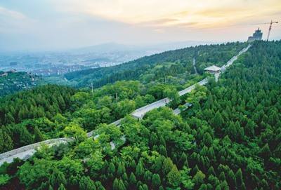 六部門：加快建設(shè)現(xiàn)代化國有林場