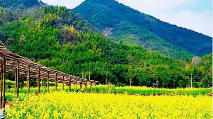 福建省首個縣級城市美麗建設實施方案出臺