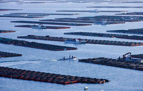 最高2000萬！福建出臺最新政策補助這些領(lǐng)域