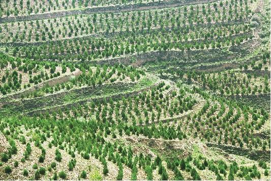 水利部：“十四五”時期全國水土保持率超73%