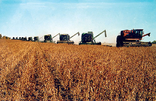 發(fā)揮糧食產(chǎn)業(yè)富民強(qiáng)縣作用