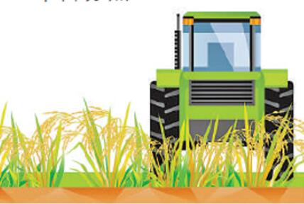 上半年農(nóng)民收入增6.6% 農(nóng)業(yè)農(nóng)村經(jīng)濟(jì)穩(wěn)中向好