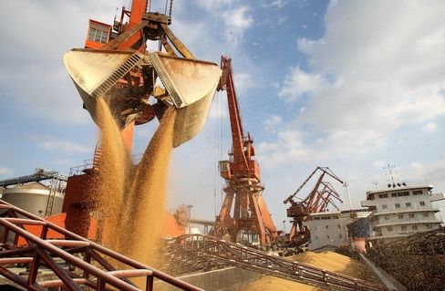 我國(guó)大豆供應(yīng)鏈韌性持續(xù)增強(qiáng)