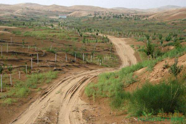 中國(guó)荒漠化治理獲國(guó)際贊譽(yù)