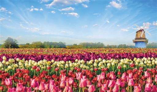 清明假期 河南接待游客1992.7萬人次 旅游收入117.3億元