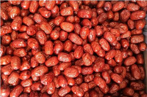 河南新鄭： 紅棗加工忙“ 綠電”來護(hù)航