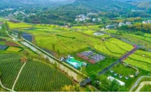 農(nóng)業(yè)更高效 鄉(xiāng)村更美好——2024，喜看“三農(nóng)”新圖景