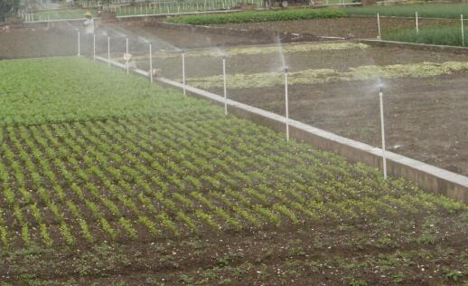 河南打好抗旱保糧攻堅戰(zhàn)