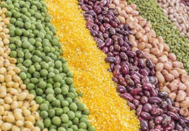 端牢中國飯碗 “把當(dāng)家品種牢牢攥在自己手里”