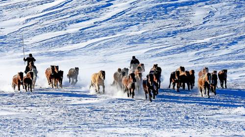 冰雪運動“南展西擴東進” 多地推出“升級版”冰雪游產品