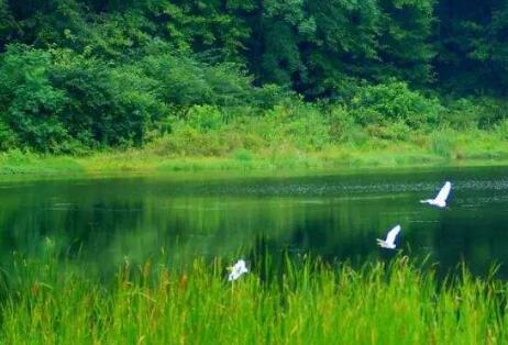 《中國(guó)上市公司環(huán)境責(zé)任信息披露評(píng)價(jià)報(bào)告（2018）》發(fā)布