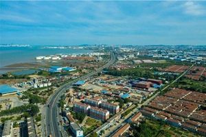 青島各區(qū)市聚焦重點產(chǎn)業(yè)鏈提升招商引資質(zhì)效