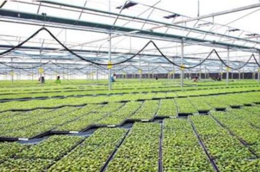 機(jī)械裝備讓現(xiàn)代農(nóng)業(yè)更有“勁”