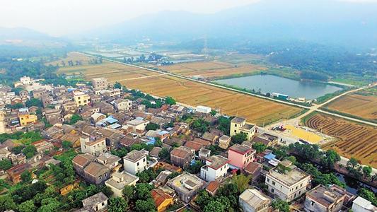 年收入約18萬億元！鄉(xiāng)村產(chǎn)業(yè)繪新貌