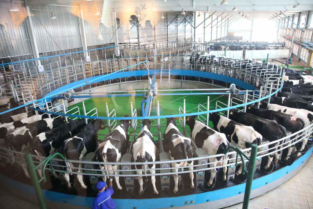 疫情之下，我國奶業(yè)應(yīng)如何應(yīng)對(duì)？