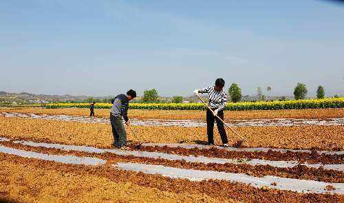 搶抓農(nóng)時(shí) 各地有序推進(jìn)春季農(nóng)業(yè)生產(chǎn)