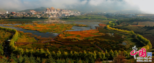花開正當(dāng)時 疫情過后在香格里拉遇見繁華似錦