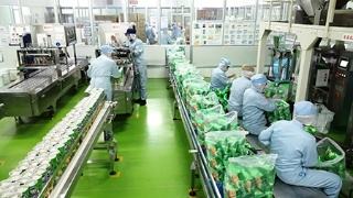 企業(yè)復(fù)工市場回暖 各地經(jīng)濟回穩(wěn)向上