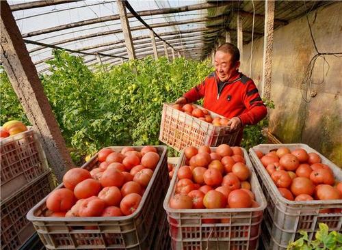 我國(guó)將實(shí)施“縣域商業(yè)三年行動(dòng)計(jì)劃”