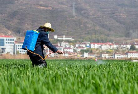 優(yōu)供給 促生產(chǎn) 暢運(yùn)銷 農(nóng)資供應(yīng)足春耕有保障
