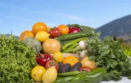 我國主要農產(chǎn)品供給總體充足