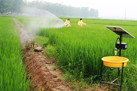 14億元農(nóng)業(yè)救災(zāi)資金下達(dá) 支持各地農(nóng)作物重大病蟲害防控