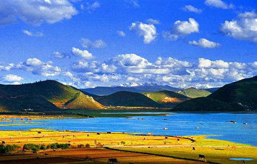 227名醫(yī)護人員來訪香格里拉 滇金絲猴景區(qū)最受歡迎