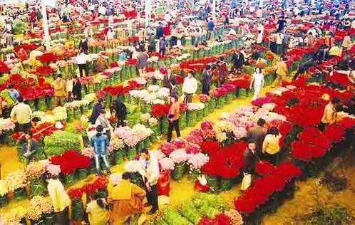 2000億元、500萬(wàn)人……從“顏值”到產(chǎn)值 “美麗經(jīng)濟(jì)”激發(fā)消費(fèi)新活力