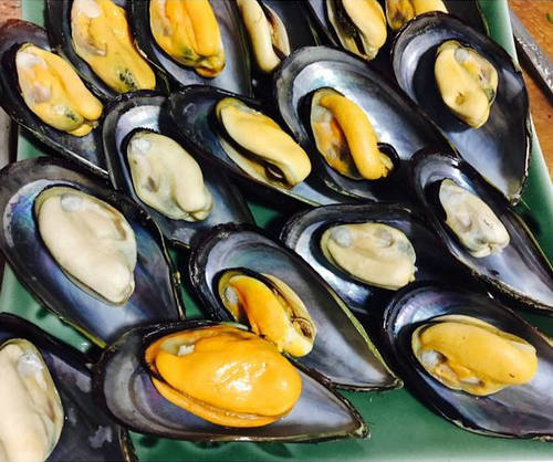 愛吃海虹的朋友忍一忍，4月、5月是中毒高發(fā)期