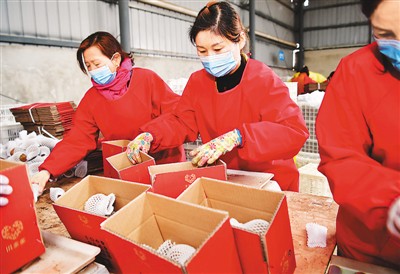 一季度全國(guó)農(nóng)產(chǎn)品網(wǎng)絡(luò)零售額增31.0% 電商直播超400萬場(chǎng)