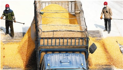 儲備肉、儲備菜、儲備口罩等亮相 國家為你囤了哪些貨？