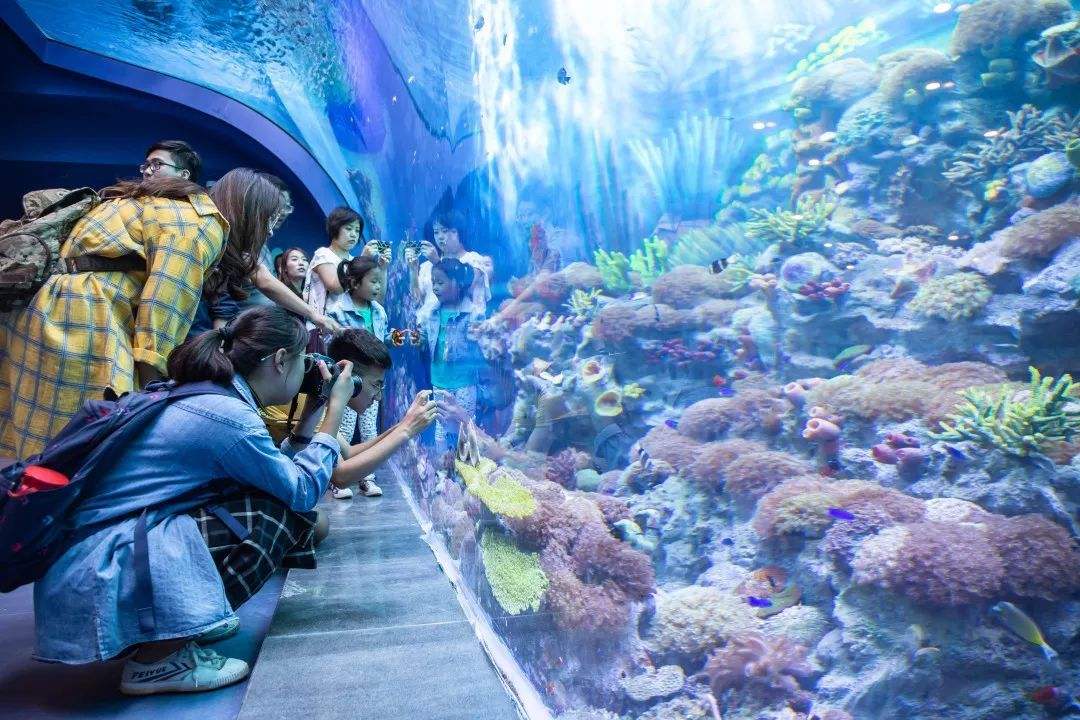 上海浦東：20家A級景區(qū)以及迪士尼樂園、海昌海洋公園等恢復(fù)開放